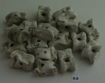 Ancient knucklebones from Taranto South Italy
