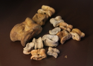 Knucklebones from Thebes